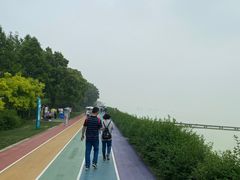 -贡湖湾湿地公园