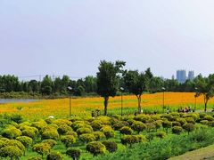 -哈尔滨音乐公园