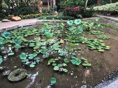 -香港大学