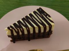 -SONGUOLIFE松果咖啡(七莘路店)