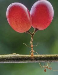 -Oasis Beauty水磨坊科技美肤中心