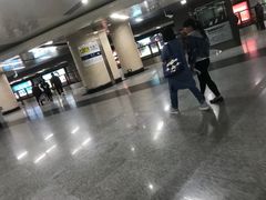 -望京西(地铁站)