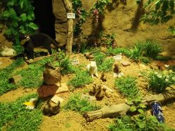 -酷嗒动物文化乐园(cutezoo西溪乐天城店)