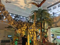 -甘肃地质博物馆