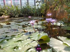 -国家植物园南园