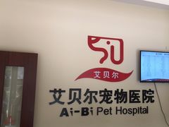 -艾贝尔宠物医院 ·内科全科(梁溪路店)
