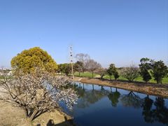 -嘉北郊野公园