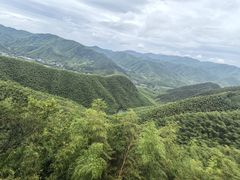 -莫干山风景区