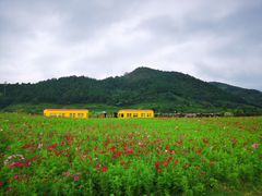 -径山花海