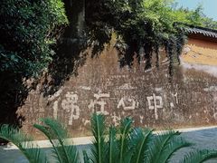 -超山青莲寺