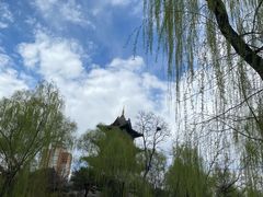 -迎泽公园