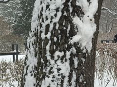 -迎泽公园