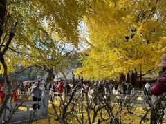 -潭柘寺景区