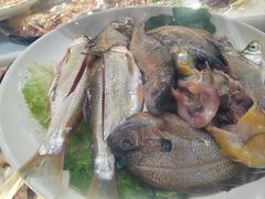 -全乐鱼馆·淳牌有机鱼直营店
