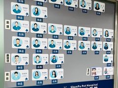 -申普宠物医院·心脏介入·心血管微创(总院)