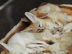 -宁波野生动物园