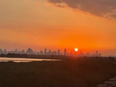 -合肥滨湖国家森林公园