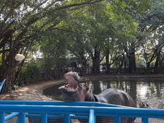 -广州长隆飞鸟乐园
