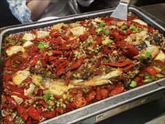湄公鱼-炉鱼(亲橙里店)