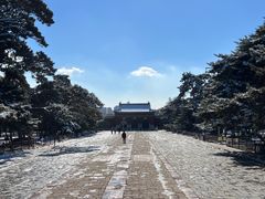 -北陵公园