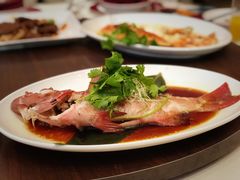 -上海外滩茂悦大酒店