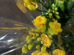 -金陵花卉交易市场