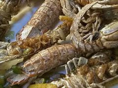 -老郑海鲜楼(天桥店)