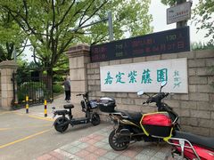 -嘉定紫藤园