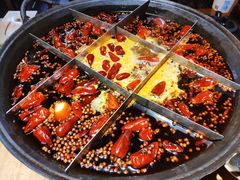 -白乐天毛肚火锅馆(解放碑店)