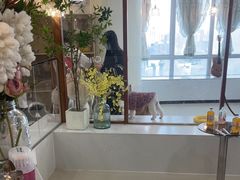 -共舞时光猫咖·狗咖(新街口店)