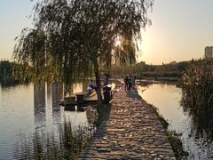 -前关湿地公园