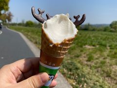-良渚古城遗址公园
