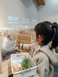 -Moni星球萌宠·小马宝莉·灵蛇·高端高阶全萌宠互动体验俱乐部(红豆国际广场店)