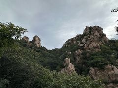 -大岭沟猕猴桃谷风景区
