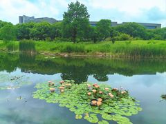 -同济大学(嘉定校区)