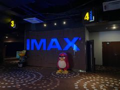 -万达影城(淮安水渡口万达广场IMAX激光店)