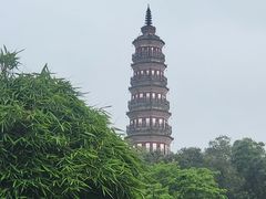 -顺峰山公园