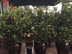 -福照楼汽锅鸡·云南特色菜(万达广场店)