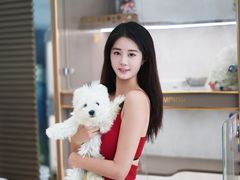 -翊宠yipet猫狗购宠庄园犬舍•猫舍