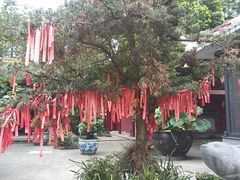 -南岳明心寺