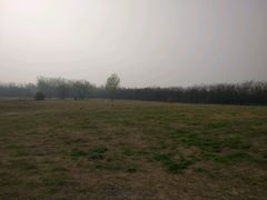 -汉长安城未央宫国家考古遗址公园