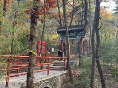 -红螺寺