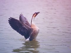 -艾溪湖湿地公园