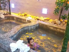 -兴芮温泉度假区