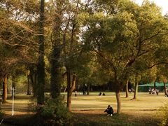 -苏州上方山国家森林公园