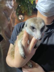 -Zoolung Zoolung动物主题公园(海信广场店)