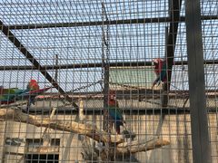 -石家庄市动物园