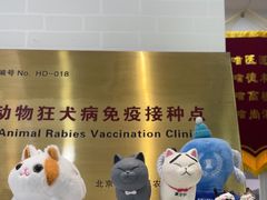 -纳吉亚猫专科动物医院·北北分院