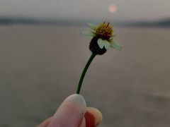 -维乐口腔医院(星海湾分院)