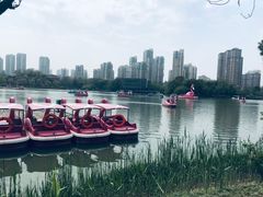 -青枫公园
